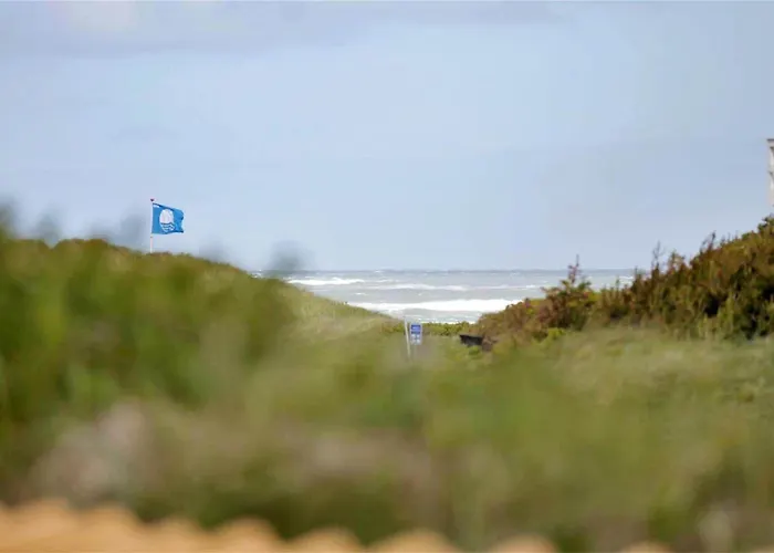 度假居 Bl441-pandrup-sydvej-14